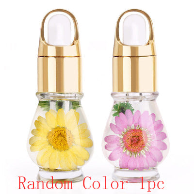 Natural dried flower Cuticle oil-Random color Chosen